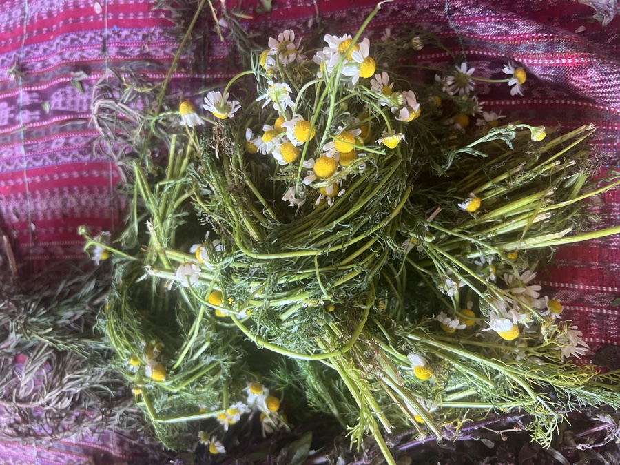 Guatemala